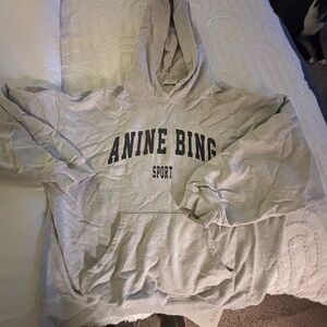 Anine bing hoodie